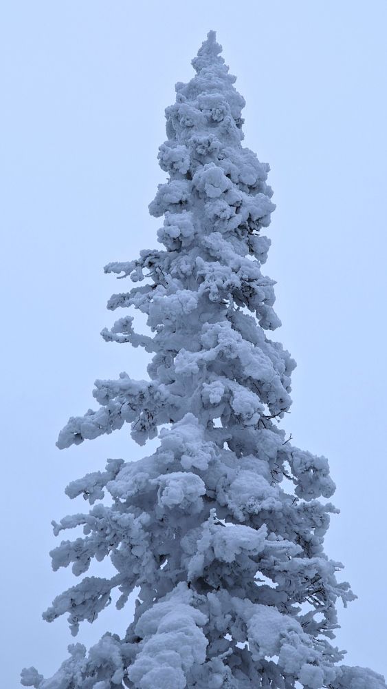 Vall&eacute;e des fant&ocirc;mes au Qu&eacute;bec